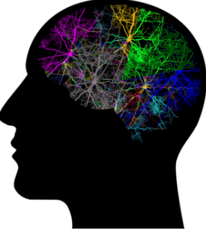 Brain Stage 1
