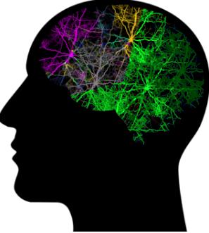 Brain Stage 4
