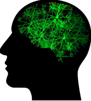 Brain Stage 6 - Full Green